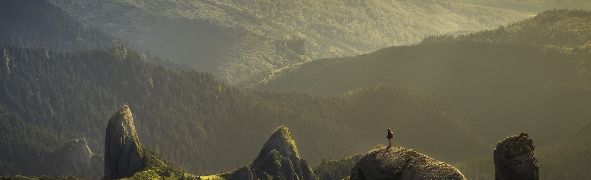 季節のポケット